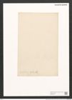 Pleurosigma distortium W.Sm. (de-Toni-Nr.: Genus 13, Species 1094) Zeichnungen Sammlung Grunow (NHMW-BOT-W0369167)
